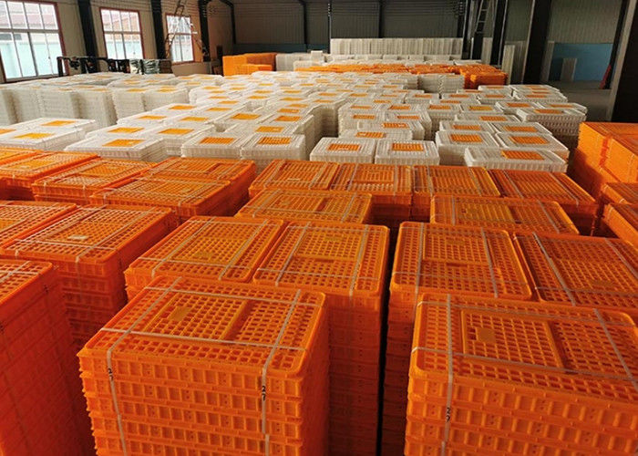 Langfang Sun Never Setting Plastic Products Co., Ltd. خط تولید سازنده