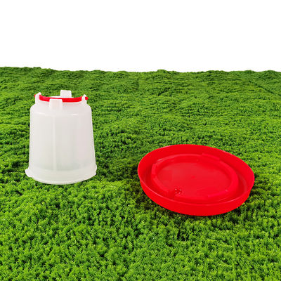 Small Poultry Drinker Cone Shape for Maximum Watering Efficiency
