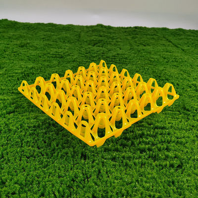Industrial Egg Tray For Agriculture Market Customizable Design