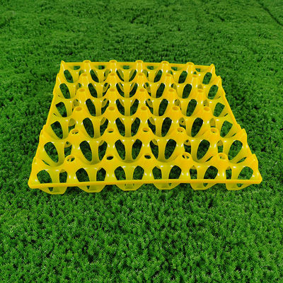 Industrial Egg Tray For Agriculture Market Customizable Design