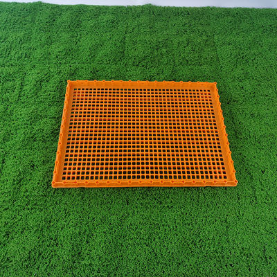 Lightweight Portable Poultry Transport Cages Multiple Ventilation Holes Duck Transport Crates