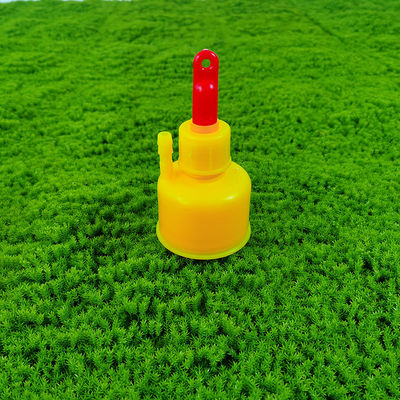Easy Installation Poultry Drinker Constant Water Supply Cylindrical Design