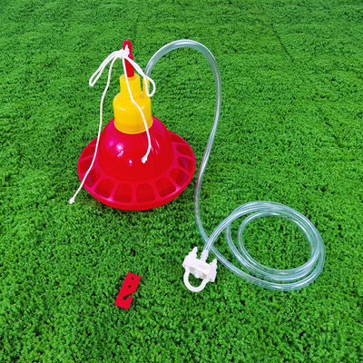 Easy Installation Poultry Drinker Constant Water Supply Cylindrical Design