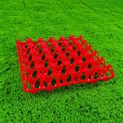 Eco Friendly Rectangular Egg Tray For Agriculture In Red Yellow Blue Or White