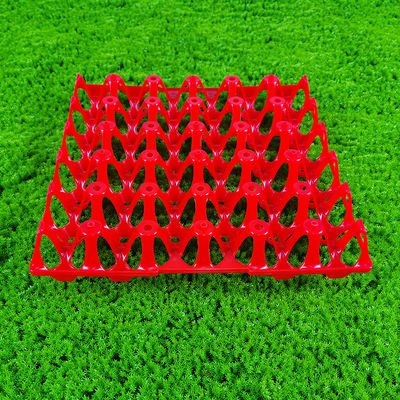 Eco Friendly Rectangular Egg Tray For Agriculture In Red Yellow Blue Or White