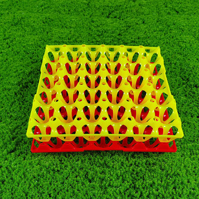 Eco Friendly Egg Tray For Agricultural Egg Packing Red Yellow Blue White Colors 30 Holes