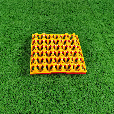 30 Hole Eco Friendly Plastic Egg Carton For Agriculture Carton Packaging