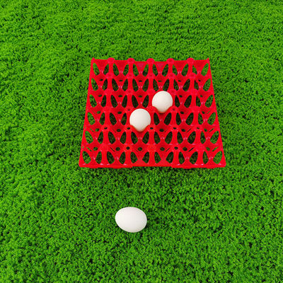 Colorful Egg Storage Tray With Eco Friendly Carton Packaging For Agriculture Industry
