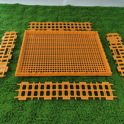 Secure Locking Poultry Turnover Box Easy To Clean Hygienic Design For Safe Poultry Farming
