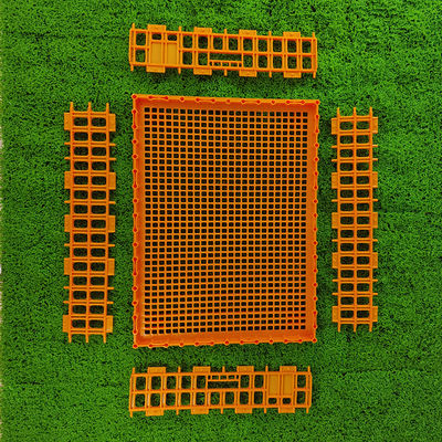 Secure Locking Poultry Turnover Box Easy To Clean Hygienic Design For Safe Poultry Farming