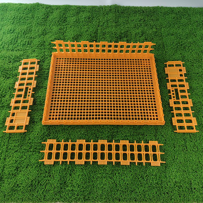 Secure Locking Poultry Turnover Box Easy To Clean Hygienic Design For Safe Poultry Farming