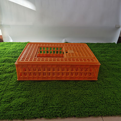 Sturdy Poultry Transport Cage Secure Locking System Easy To Clean Chicken Farm Carrier Box