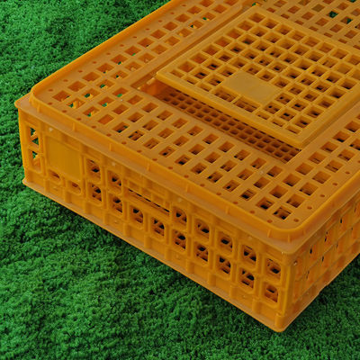 Sturdy Poultry Transport Cage Secure Locking System Easy To Clean Chicken Farm Carrier Box