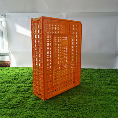 Secure Lock Yellow White Poultry Transport Cages With Easy Cleaning