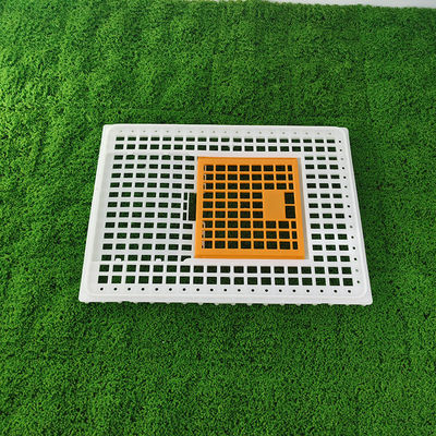 Sturdy Lightweight Poultry Turnover Box Poultry Transport Cages For Hygienic Chicken Farming
