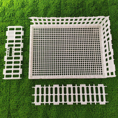 Ventilated Portable Poultry Travel Cage Easy Assembly Yellow White Plastic Carrier