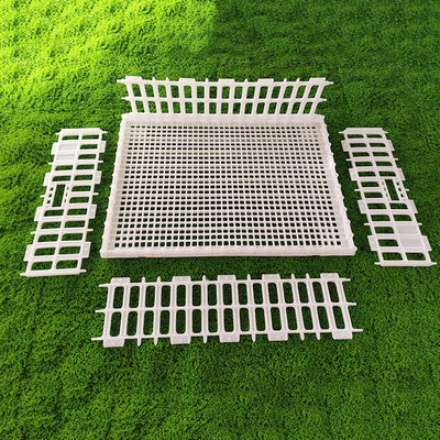 Ventilated Portable Poultry Travel Cage Easy Assembly Yellow White Plastic Carrier
