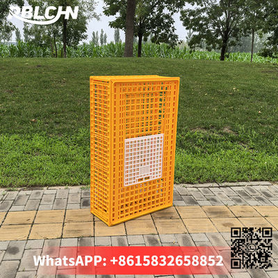 Convenient Hassle Free Durable Sturdlargey Poultry Transportation Cages