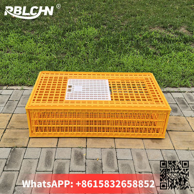 Convenient Hassle Free Durable Sturdlargey Poultry Transportation Cages