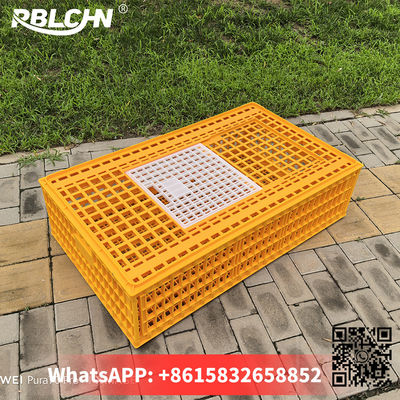 Convenient Hassle Free Durable Sturdlargey Poultry Transportation Cages