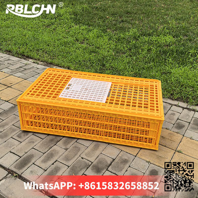 Convenient Hassle Free Durable Sturdlargey Poultry Transportation Cages