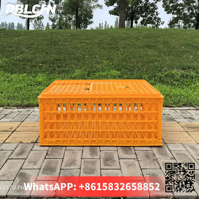 Convenient Smooth Secure Poultry Transportation 74cm*54cm*32cm Large Chicken Cage