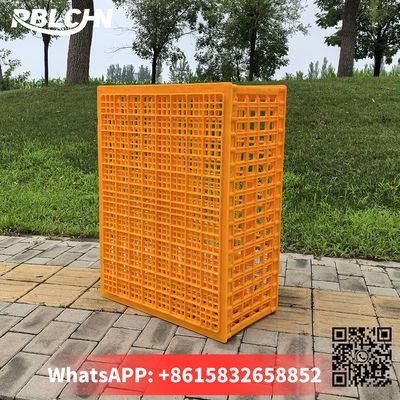 Convenient Smooth Secure Poultry Transportation 74cm*54cm*32cm Large Chicken Cage