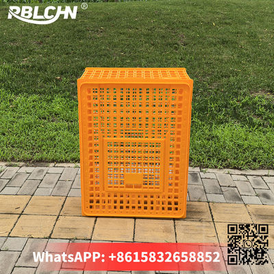 Convenient Smooth Secure Poultry Transportation 74cm*54cm*32cm Large Chicken Cage