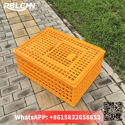 Plastic Hygiene Security Chicken Transport Crates