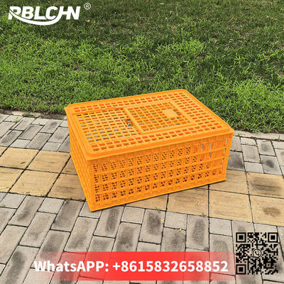 Convenient Smooth Secure Poultry Transportation 74cm*54cm*32cm Large Chicken Cage