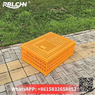 Adjustable Flexible Poultry Management Raising Chickens Poultry Turnover Box