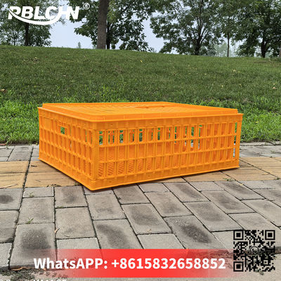 Plastic Hygiene Security Chicken Transport Crates