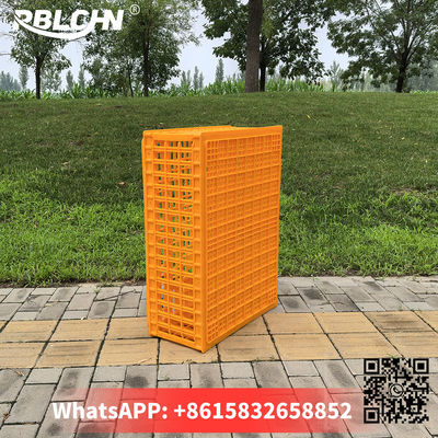 Plastic Hygiene Security Chicken Transport Crates