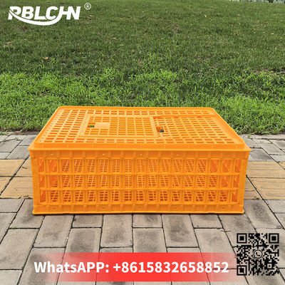 Plastic Hygiene Security Chicken Transport Crates