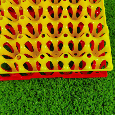 High-Capacity Poultry Feed Bucket for Large-Scale Poultry Farms plastic egg trays farming technology