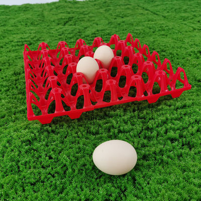 High-Capacity Poultry Feed Bucket for Large-Scale Poultry Farms plastic egg trays farming technology