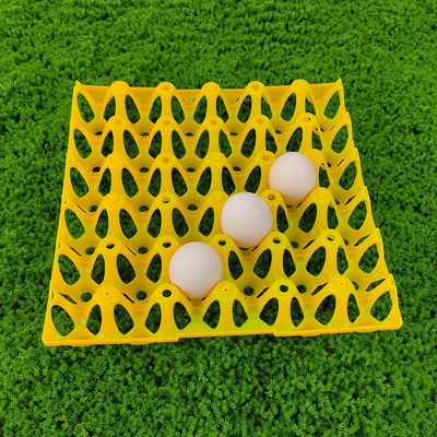 High-Capacity Poultry Feed Bucket for Large-Scale Poultry Farms plastic egg trays farming technology