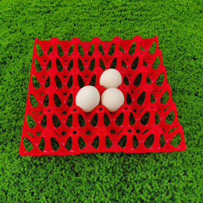 High-Capacity Poultry Feed Bucket for Large-Scale Poultry Farms plastic egg trays farming technology