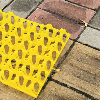 30 Holes Rectangular Plastic Egg Tray Eco Friendly