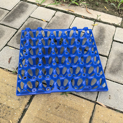 Versatile Sturdy Reusable Plastic Egg Cartons Egg Packing
