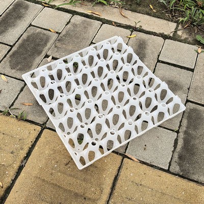Versatile Sturdy Reusable Plastic Egg Cartons Egg Packing