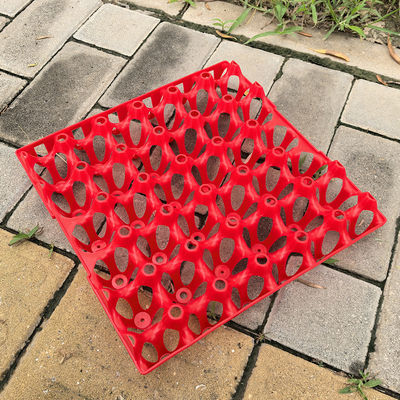 Versatile Sturdy Reusable Plastic Egg Cartons Egg Packing
