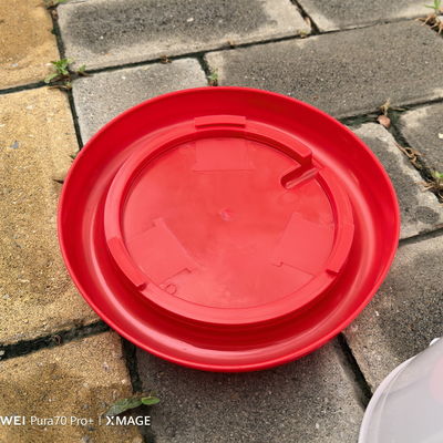 Plastic Poultry Drinker Red For Improved Poultry Performance And Profitability Fresh Drinking Water