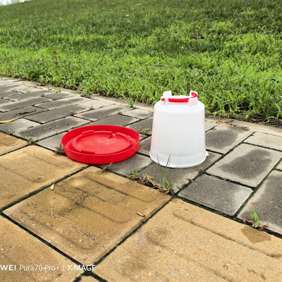 Plastic Poultry Drinker Red For Improved Poultry Performance And Profitability Fresh Drinking Water