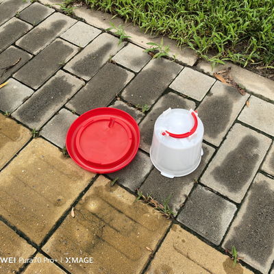 Plastic Poultry Drinker Red For Improved Poultry Performance And Profitability Fresh Drinking Water