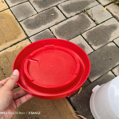 Constant Water Supply Plastic Water Feeder With Cone Shape Function Bird Species
