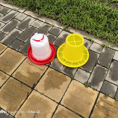 Constant Water Supply Plastic Water Feeder With Cone Shape Function Bird Species