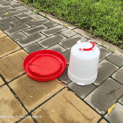 Constant Water Supply Plastic Water Feeder With Cone Shape Function Bird Species