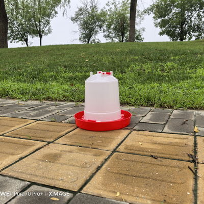 Constant Water Supply Poultry Drinker With Anti-drip And Extra Large Capacity Design Watering Product