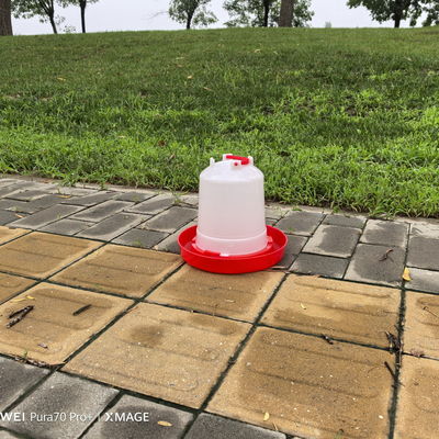 Constant Water Supply Poultry Drinker With Anti-drip And Extra Large Capacity Design Watering Product